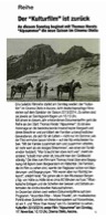 131115_TessinerZeitung