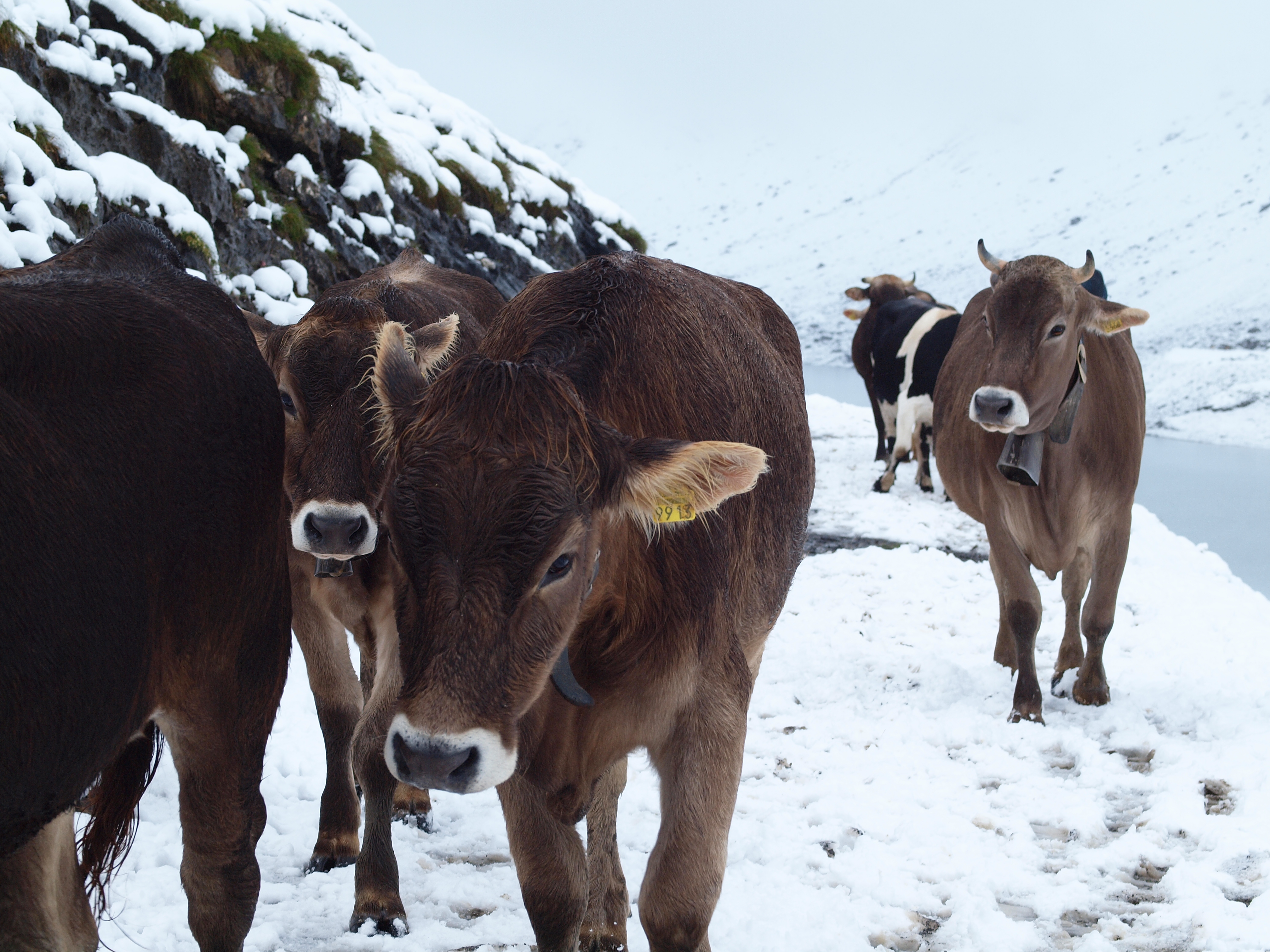 1. September auf Glattalp