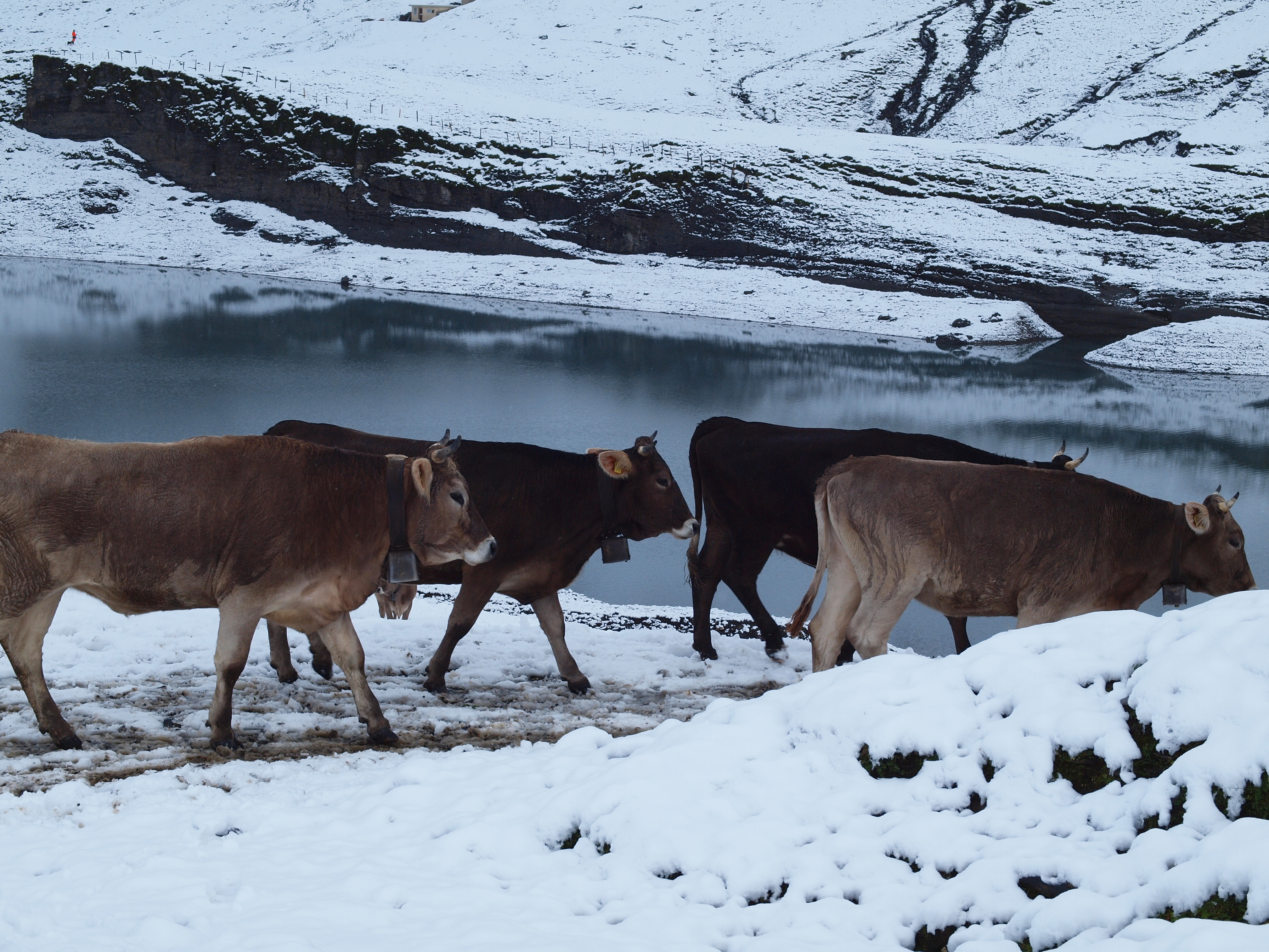 1. September auf Glattalp