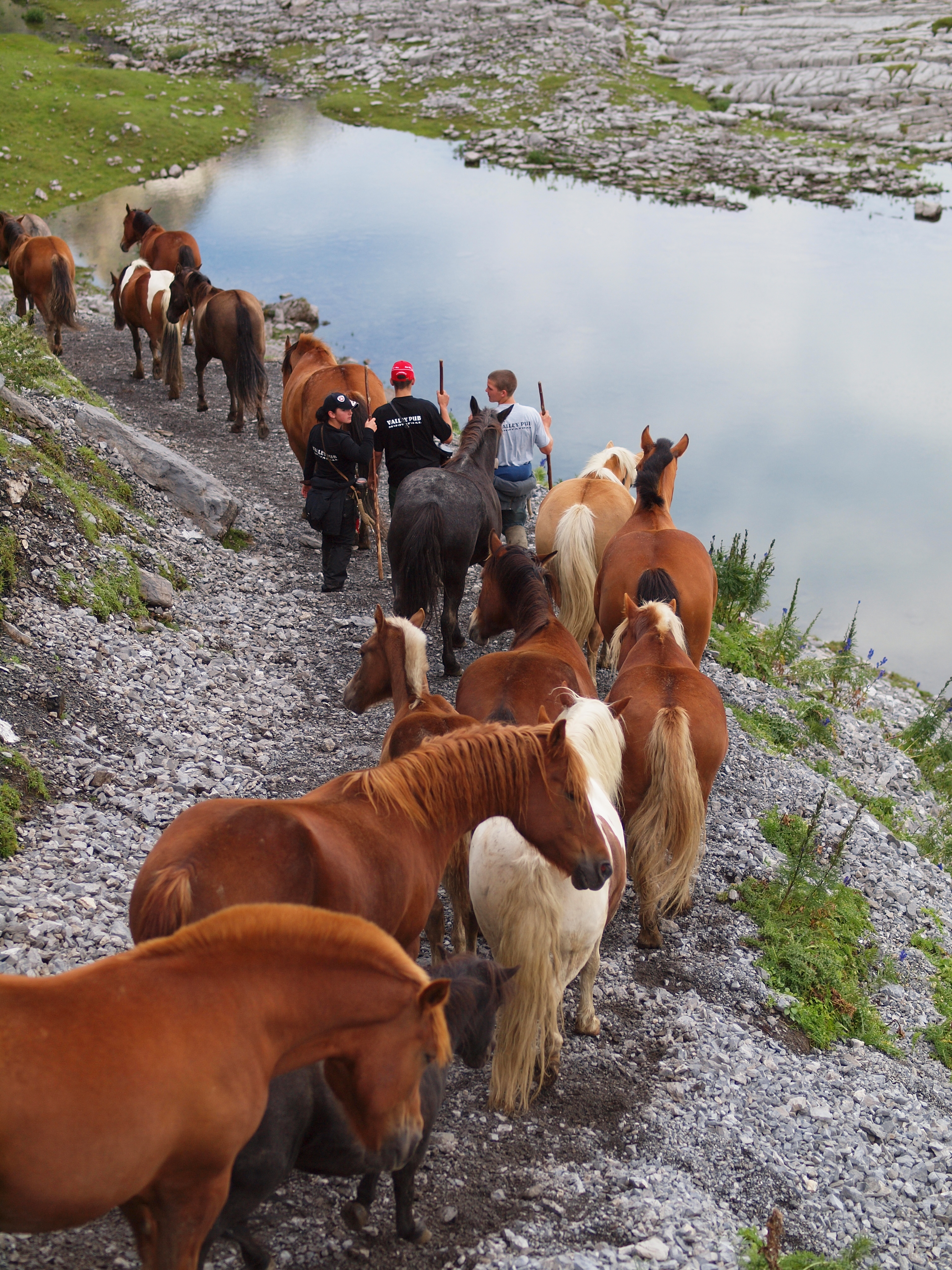Abfahrt mit den Pferden - Blindseeli