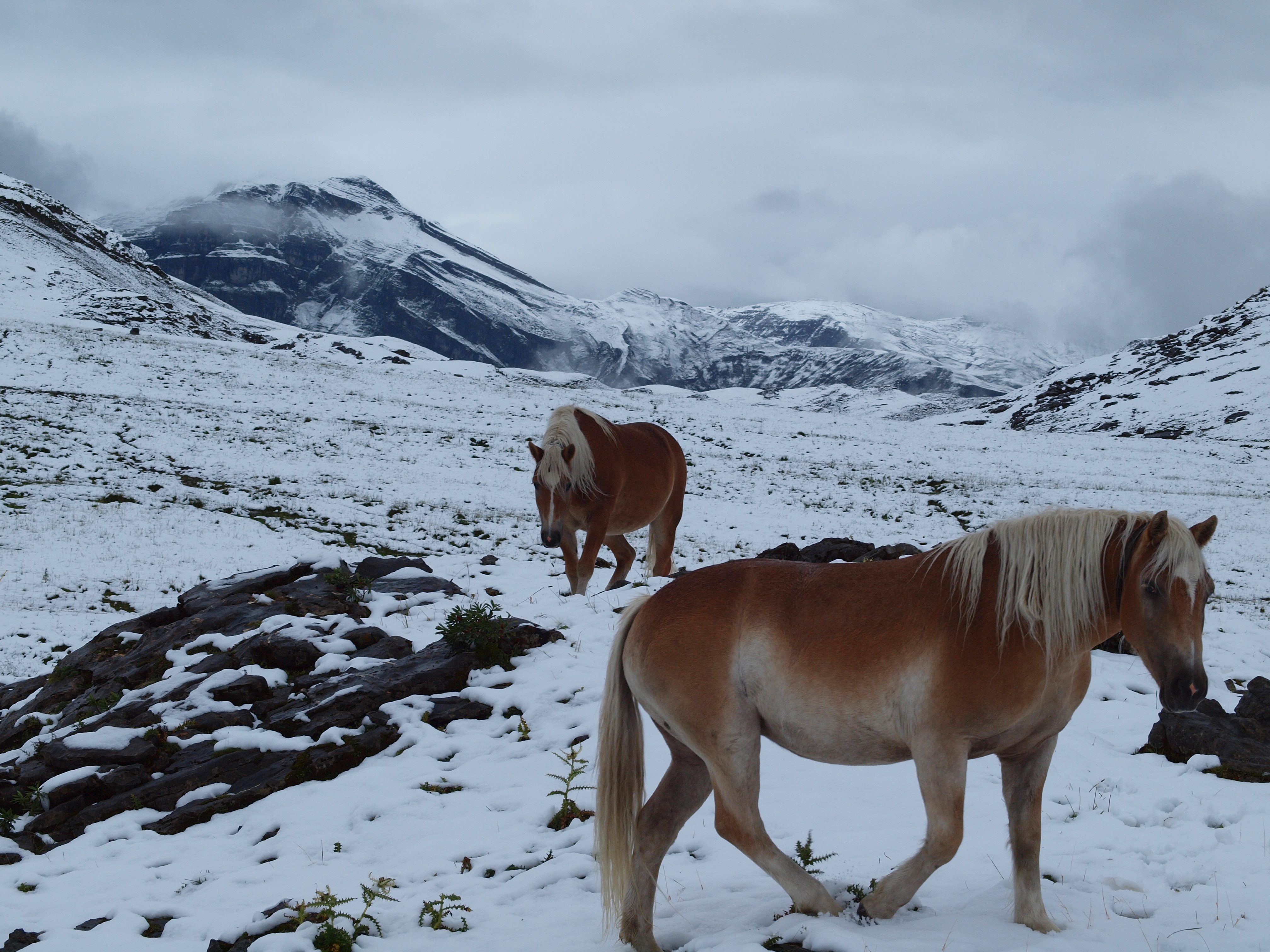 Alpina und Stella auf der Charetalp am 1. September