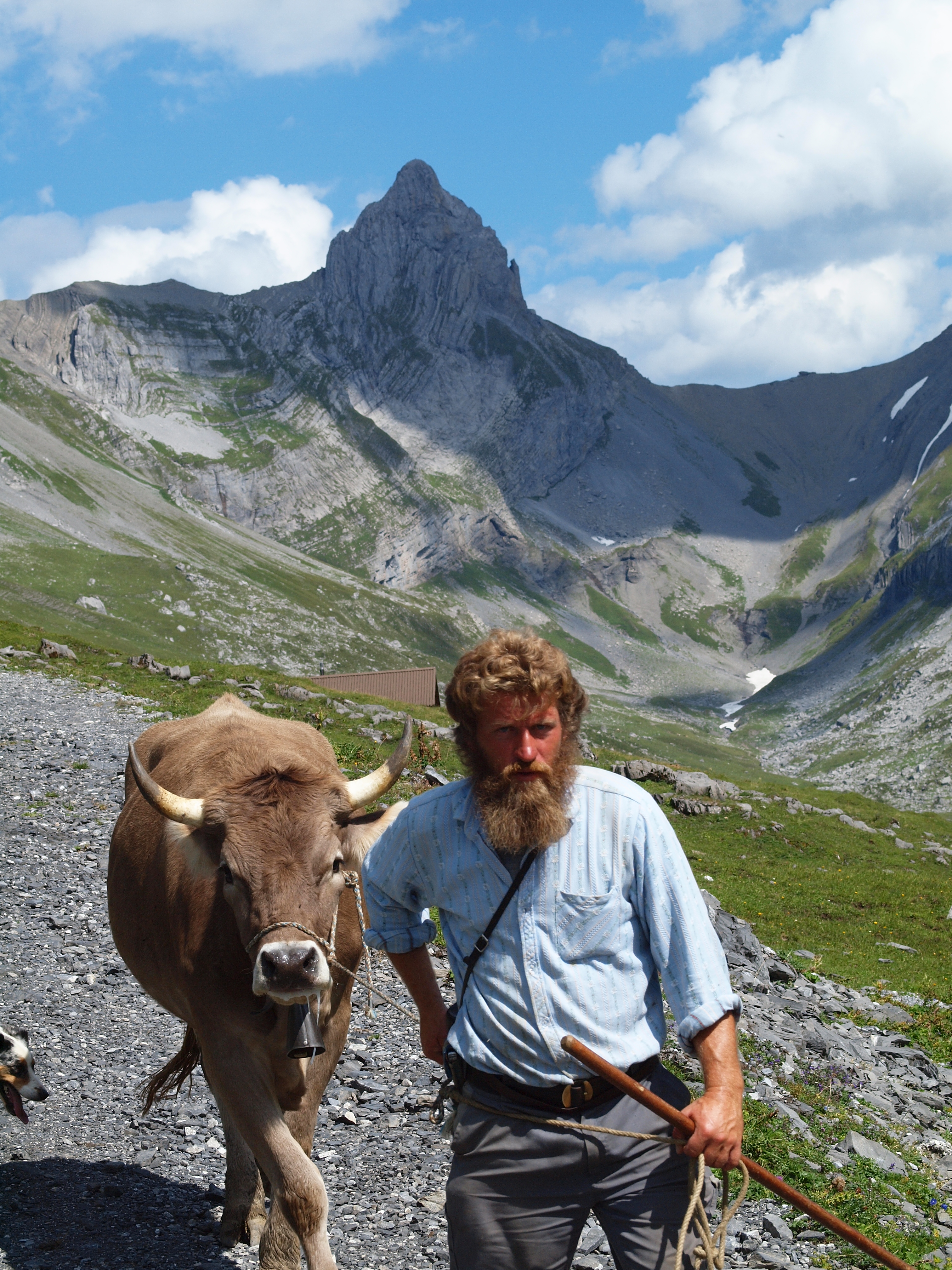 Daniel Bürgler - Höch Turm