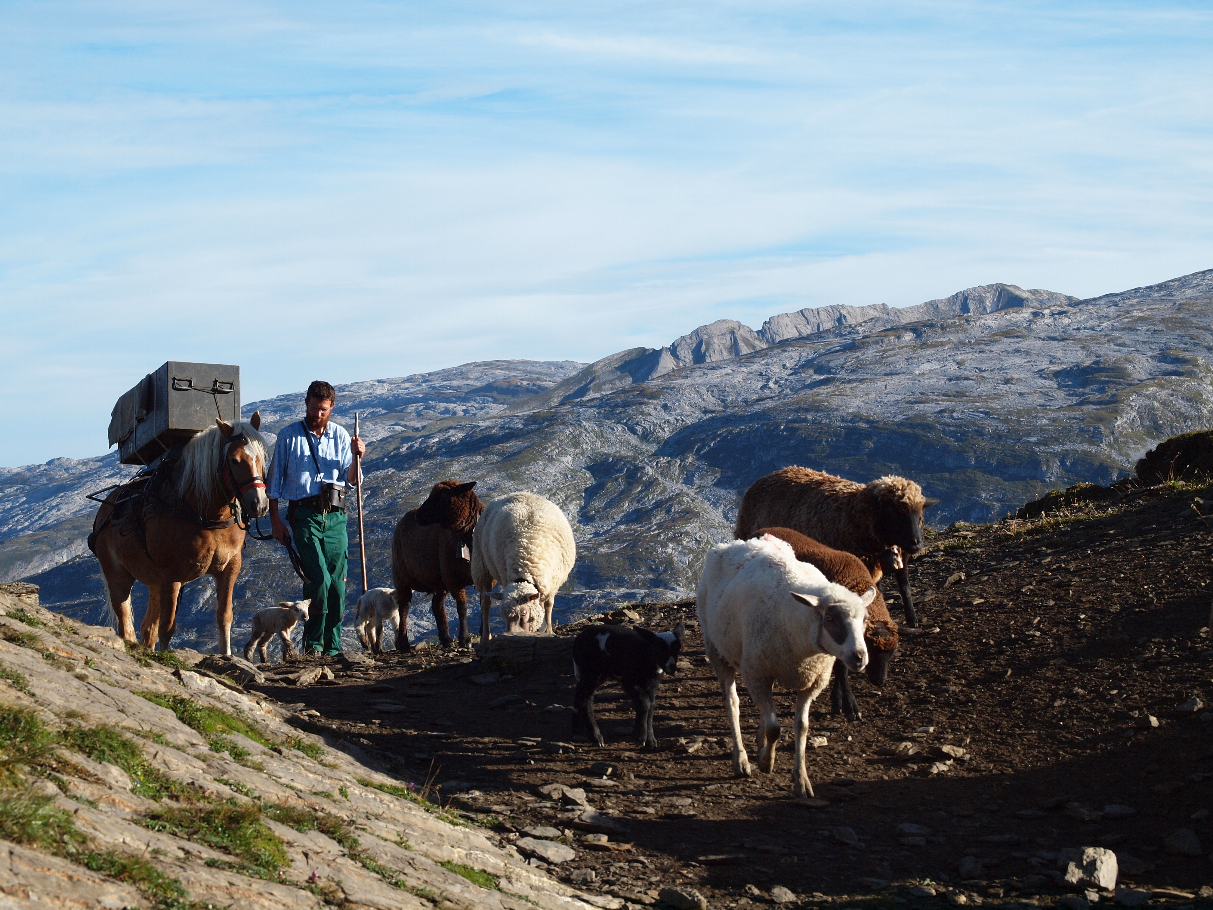 Erich Betschart beim Abfahren - Pfaffen