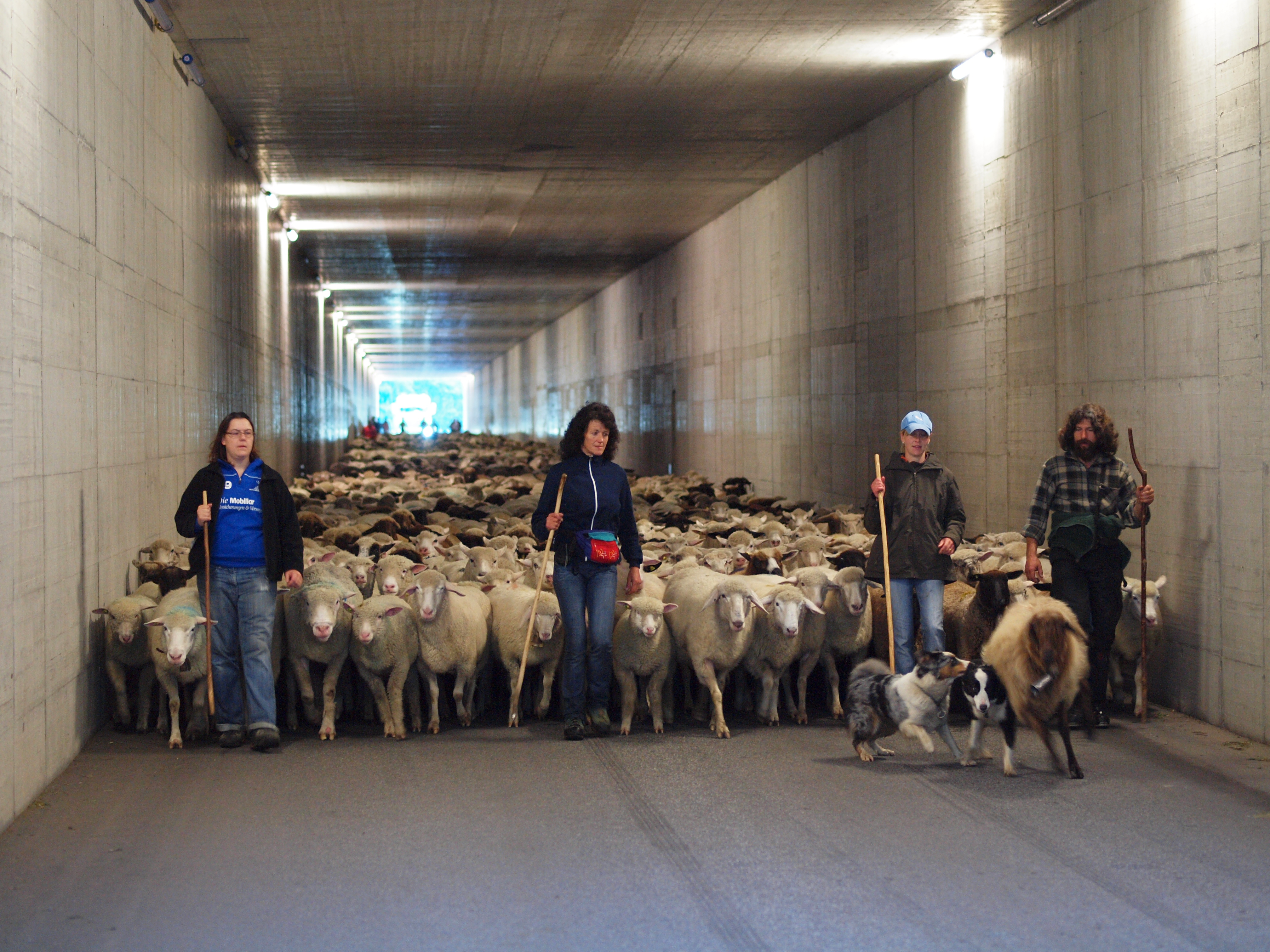 Yvonne, Romy, Sandra und Felix beim Abfahren im Tunnel - Bisistal