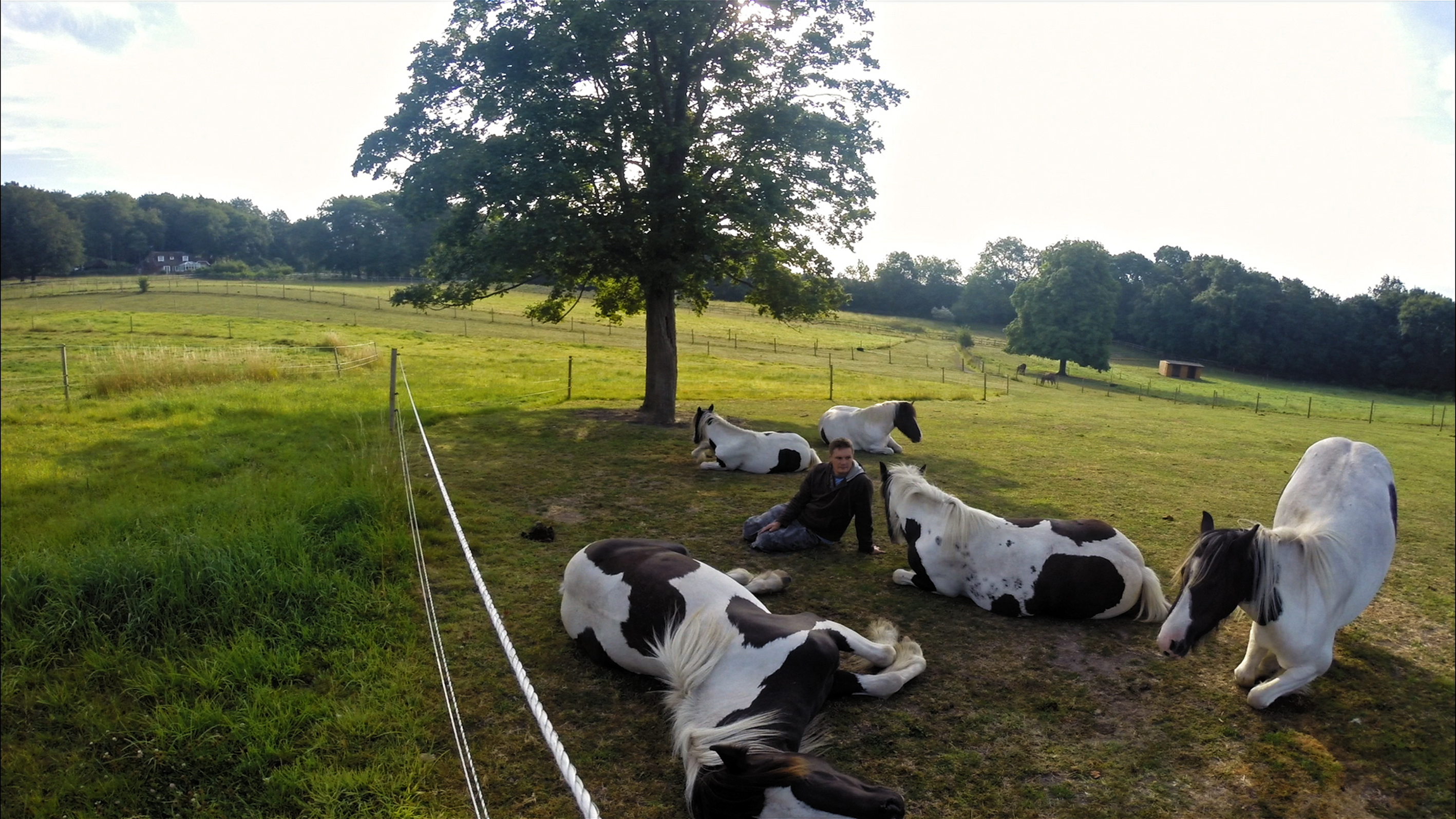 James French mit seinen Pferden