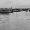 dlb_001.jpg