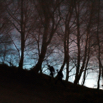 di_still_02.jpg
